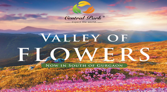 flower valley